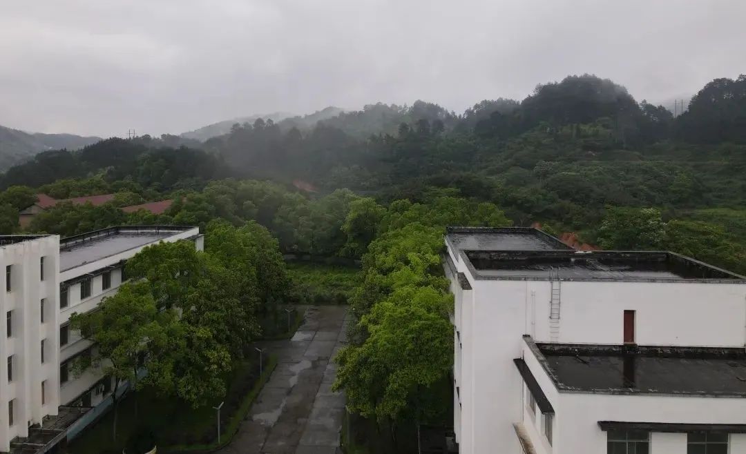 С����99��(�й���) - �ٷ���վ